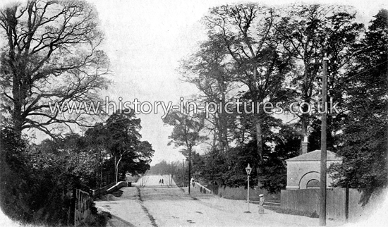 Black Bridge Road, Romford, Essex. c.1903